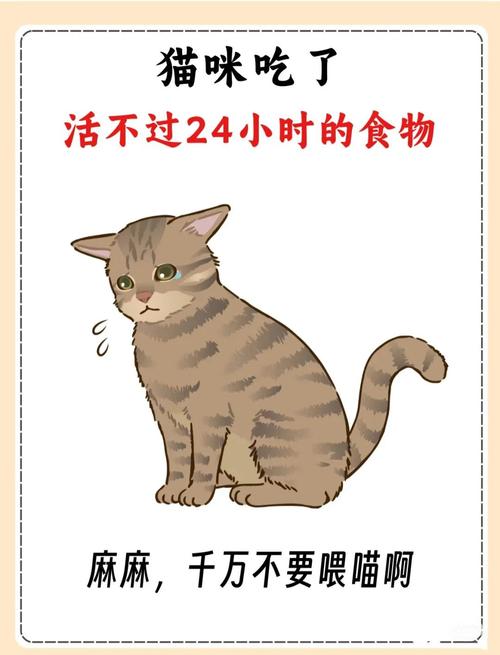 猫咪吃海鲜的危害