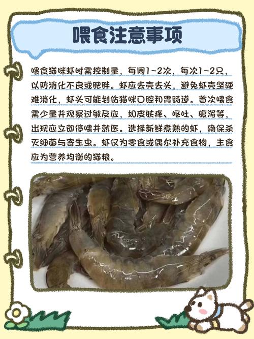 为什么猫咪要吃海鲜