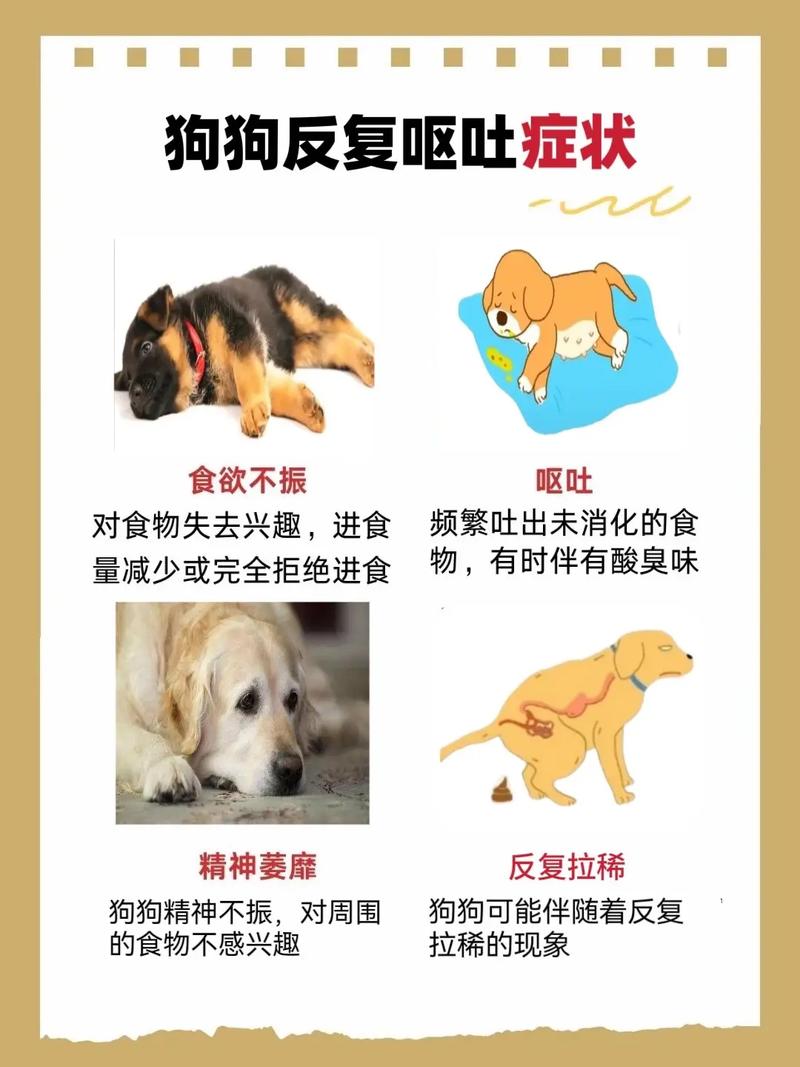 狗感冒症状引起的呕吐