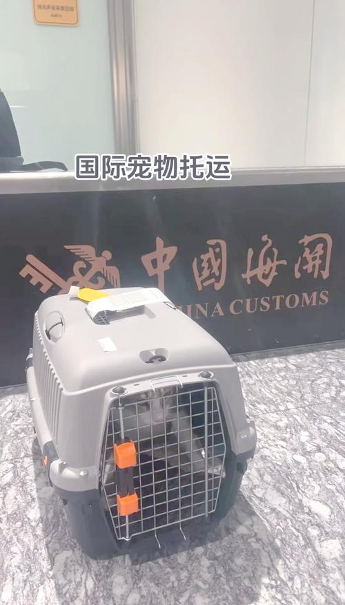 哪些快递可以发宠物