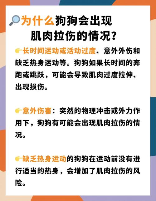 狗狗肌肉拉伤一般多久自愈
