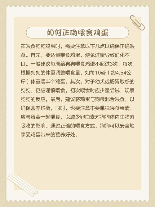 狗能吃鸡蛋清吗