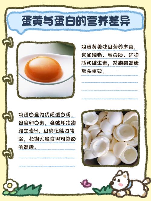 狗狗吃蛋清好,还是蛋黄好?