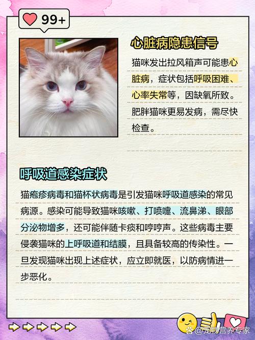 猫咪吃饭正常但是呼噜声感觉有痰是什么情况?