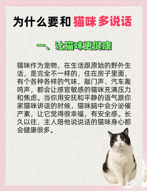 猫咪会寻找伙伴吗为什么