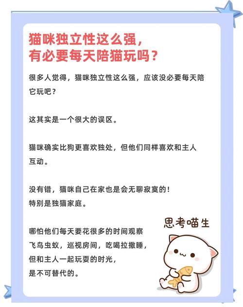 一只猫在家会寂寞吗?需要给TA找个伴儿吗?