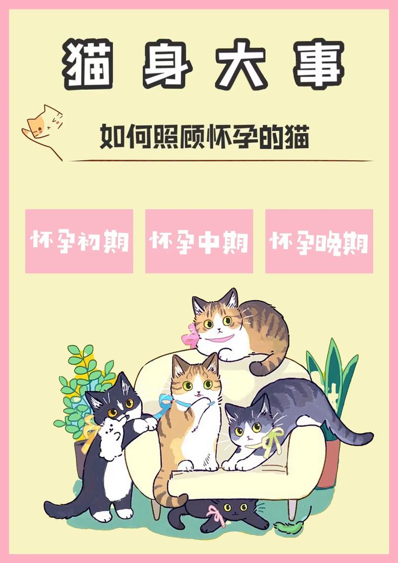 几个月大的猫咪能怀孕,猫怀孕的最佳年龄