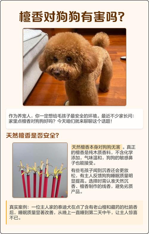 在房间里放檀香来掩盖狗的气味可以吗