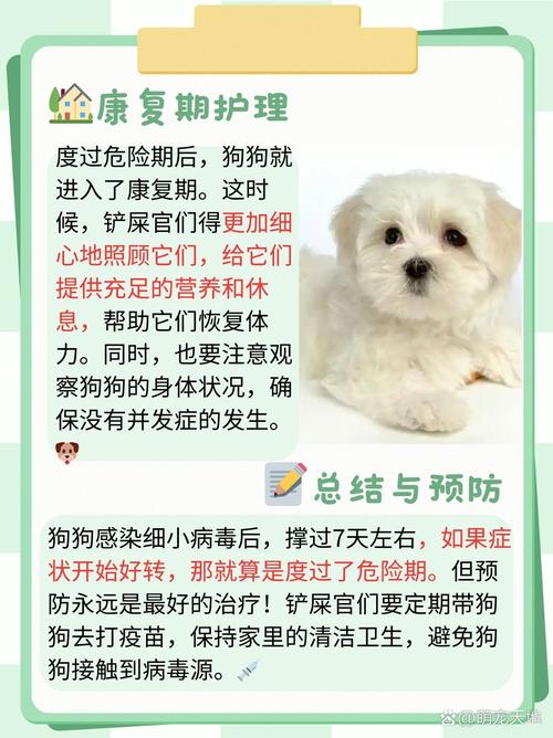 狗翻肠子几天能挺过来