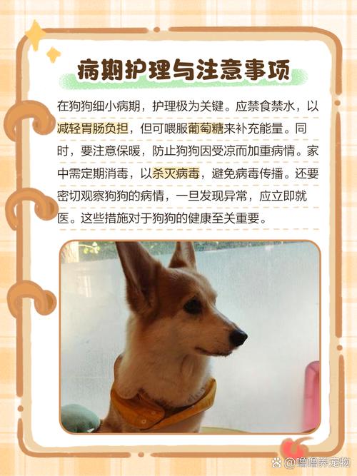 小狗吃多了撑死前兆