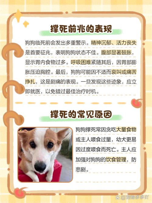 狗狗得了细小比较多能活几天