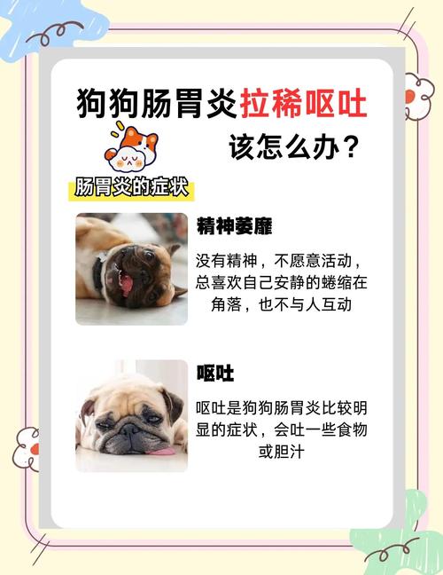 狗狗拉肚子发烧怎么办