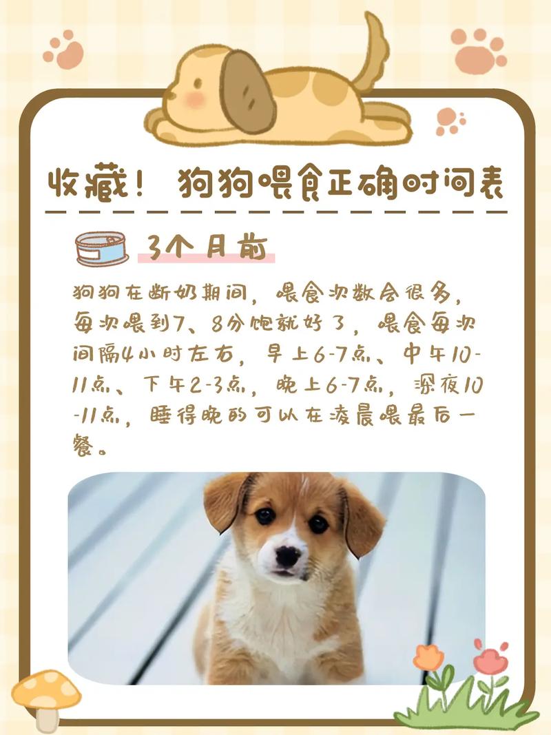 狗狗一般什么时候断奶