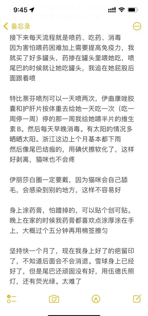 三个月的小猫的猫藓怎么治