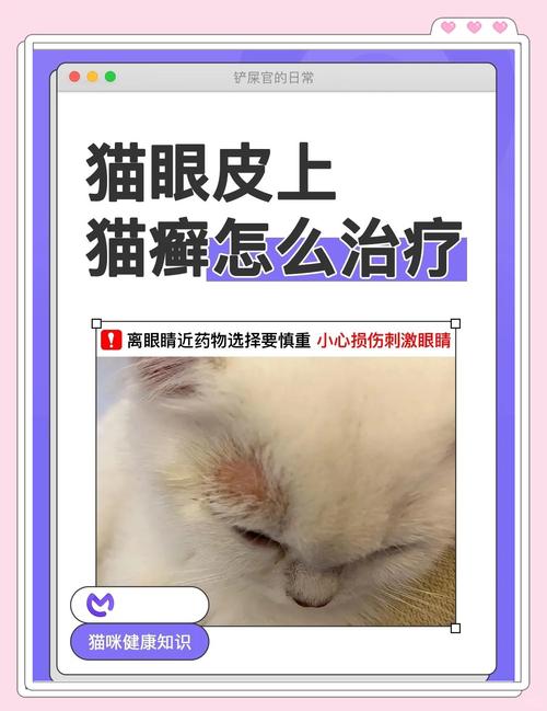 猫咪得了猫藓该怎么应对呢?