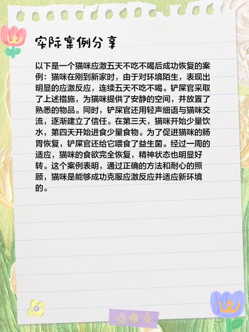 猫不吃东西几天会饿死