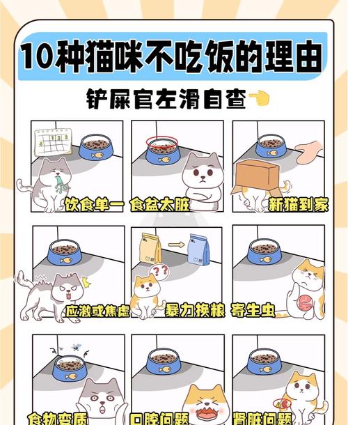 猫瘟的猫三天了不吃东西只喝点水能活多久