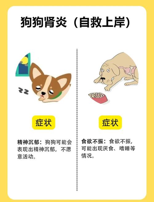 狗狗经常吃酱油煮的肉肾脏容易出现什么问题?