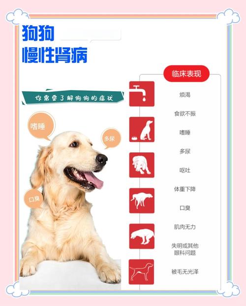 狗狗吃了酱油肉会怎么样?