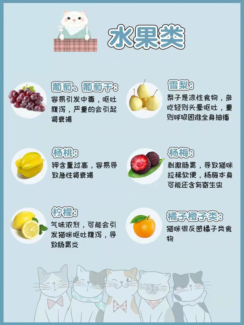 猫咪能吃哪些水果?