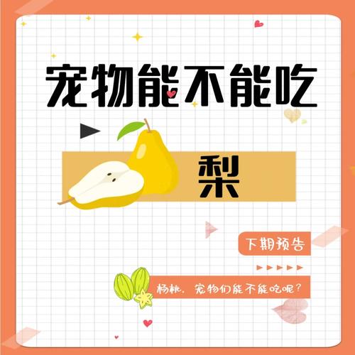 为什么猫咪不能吃梨子