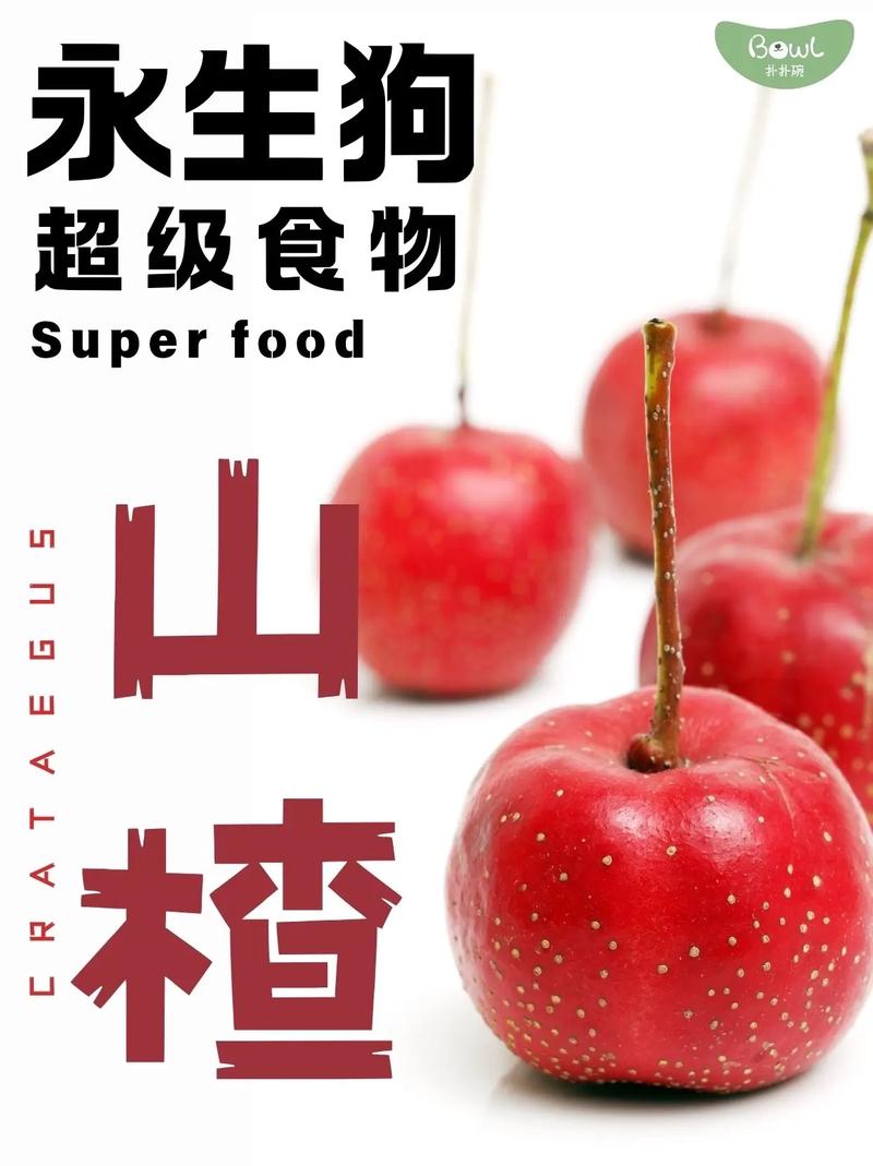 狗狗能吃山楂条吗,狗狗吃山楂片有好处吗