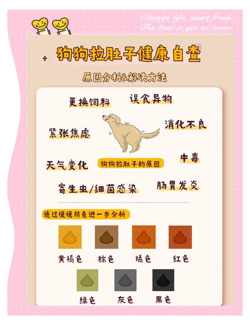 狗狗拉黑便是怎么回事?