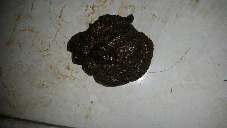 狗狗大便黑色成型正常