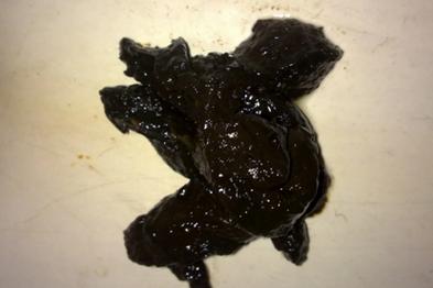 狗狗大便发黑,但精神良好,是怎么回事?