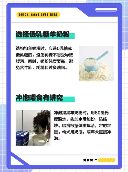 狗狗长期喝羊奶粉好吗