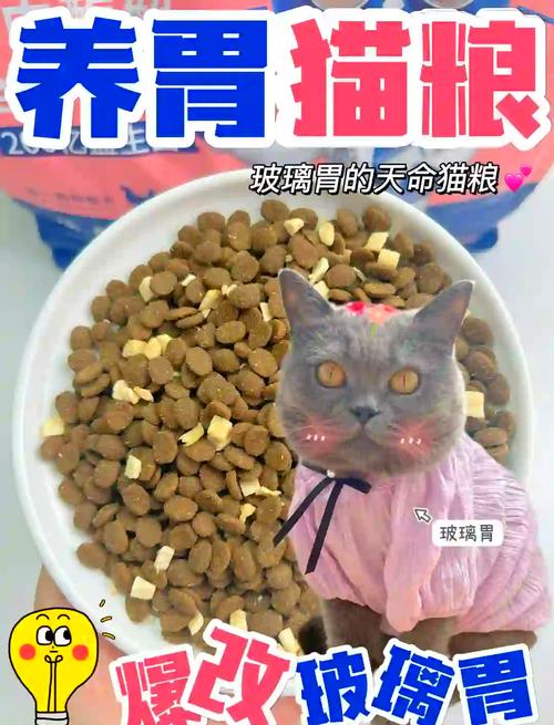 四个月猫咪吃什么