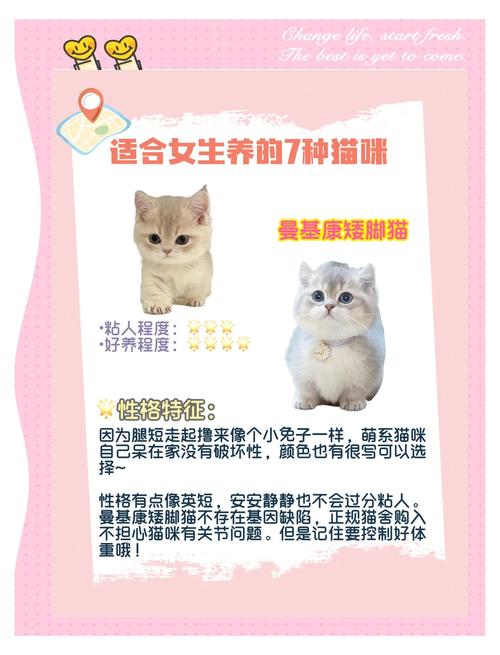哪些人招猫咪喜欢?