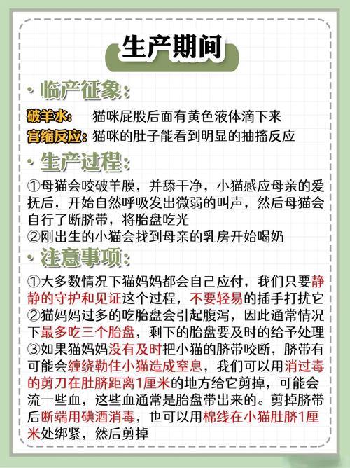 求助,遇到只流浪猫想抱回家养,但猫咪怀孕了怎么办
