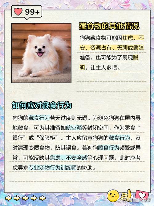 狗狗为什么有埋食物的动作