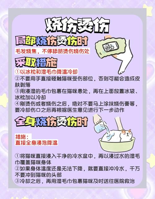 猫吃到老鼠药怎么救