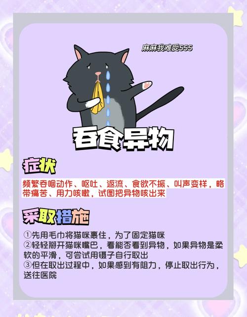 猫咪吃了老鼠药该怎么抢救?