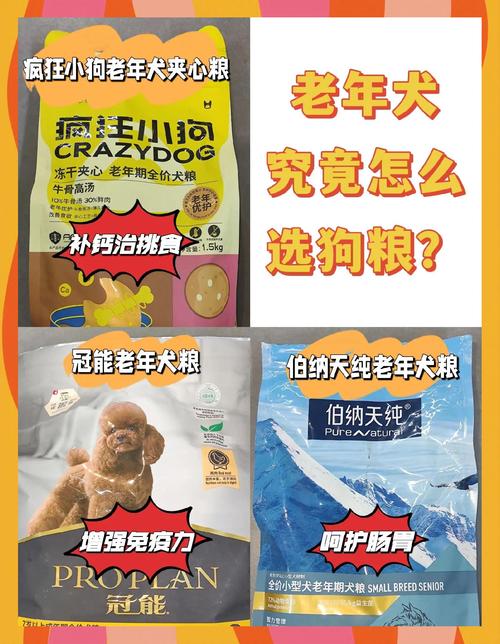 多大的狗狗才能吃自制狗粮呢