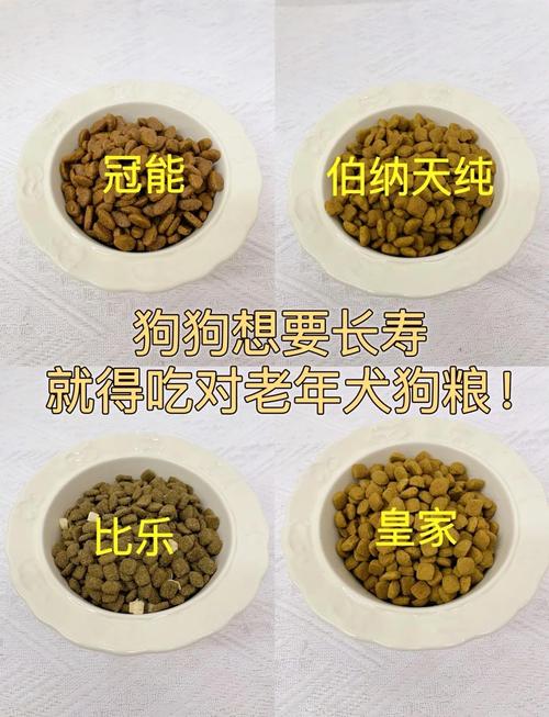 小狗狗多长时间可以吃狗粮