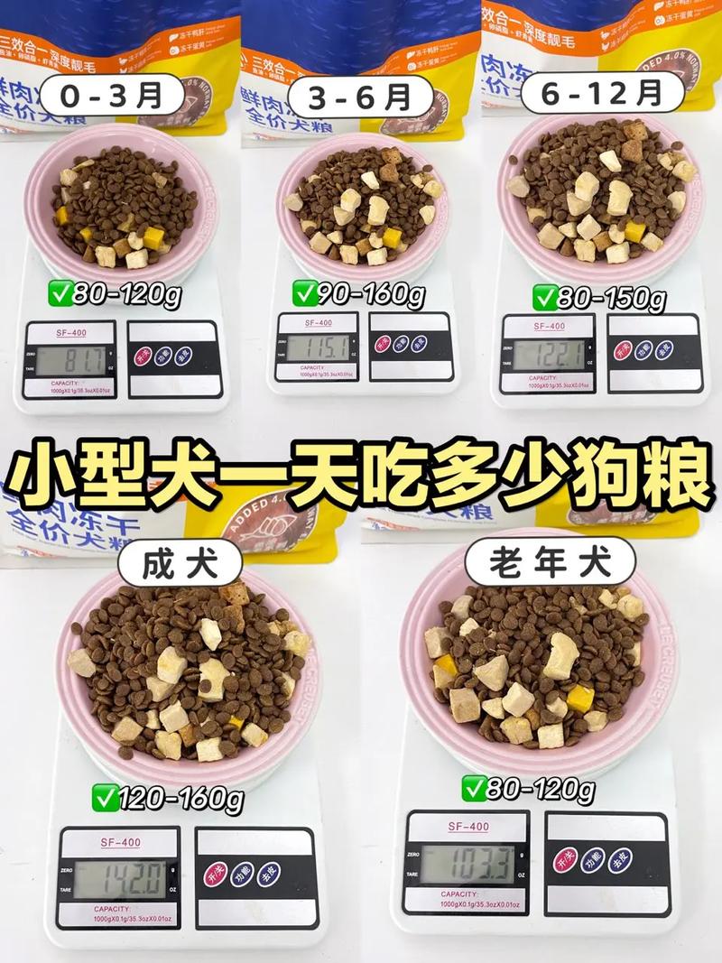 拉布拉多多大可以吃干狗粮