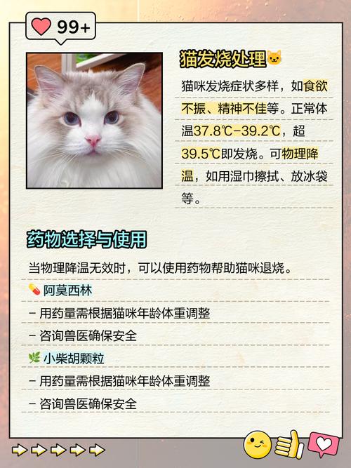 小猫发烧吃什么药?