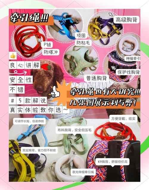 狗子牵引绳怎么选?