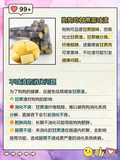 为什么狗狗不能吃甘蔗?