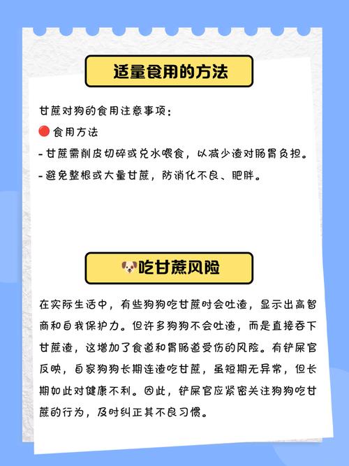 狗狗不能吃的食物,看这一篇就够啦