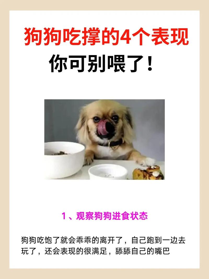 狗狗吃太饱有什么危害?