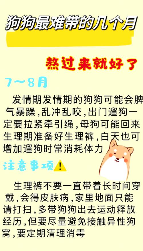 小狗多大可以开始打针?