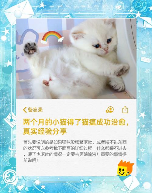 两个月猫咪得了猫瘟能治好吗
