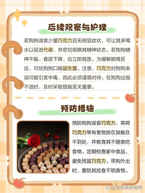 狗狗吃了一点点白巧克力怎么办?