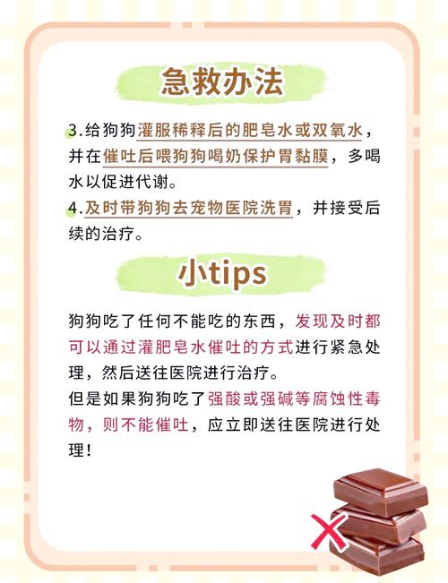 狗狗吃了一点巧克力怎么办