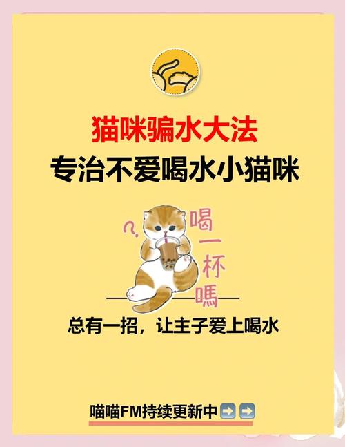 猫不爱喝水怎么办?10个小方法让猫多喝水!