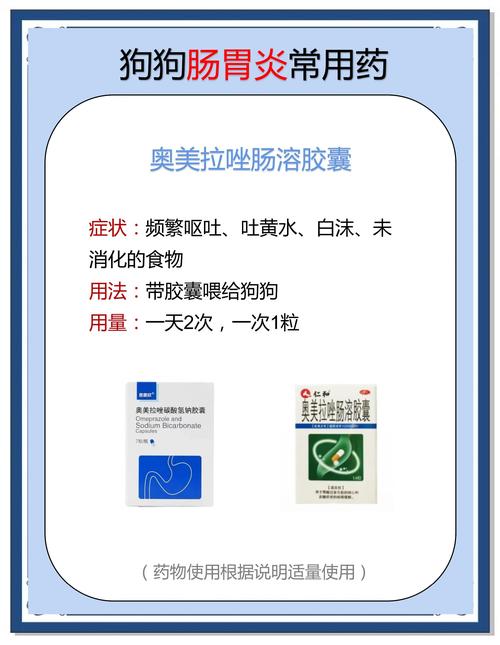 肠胃不好的狗狗应该给吃什么